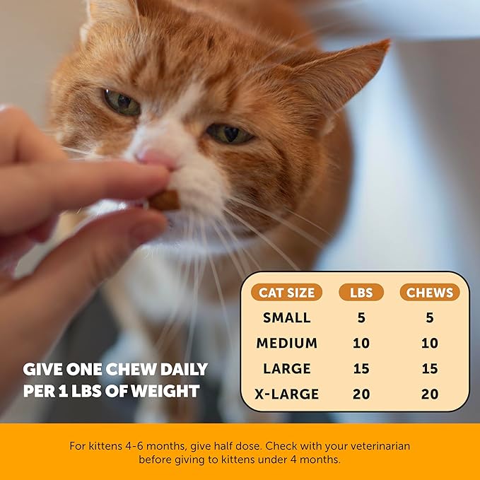 Cat Immune Support Lysine - Cat Allergy Relief - Sneezing, Runny Nose, Watery Eyes - Cat Supplements & Vitamins with Omega 3s, L-Lysine, Antioxidants, Colostrum - Chicken (30 Day Supply)