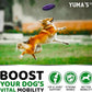 YUMA'S Glucosamine for Dogs - Hip and Joint Supplement for Dogs - 170 Ct - Glucosamine Chondroitin Chews - Joint Pain Relief Supplement with MSM - Advanced Health - Mobility Support - Made in USA