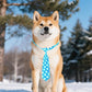 PET SHOW 10 Pack Winter Dog Ties Neckties for Large Medium Dogs Adjustable Neck Ties Girl Boy Pets Snowflake Costumes Dog Grooming Accessories Holiday Party Gift Favor