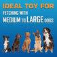 Nerf Dog Tire Flyer Outdoor Dog Toy, 10 Inch Flying Disc Dog Fetch Toy, Rubber Dog Toy for Medium Dogs and Large Dogs, Blue