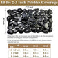 10 lbs Black Pebbles - 2-3 inch Decorative River Stones for Plants, Aquarium, Fish Tank, Outdoor Garden Landscaping
