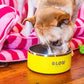 Dog Bowl, Non-Slip Stainless Steel Pet Bowl with Vacuum Insulated Design, Keeps Water Cool, Easy to Clean, Modern Style, 64 oz, Yellow