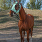 Horse Fly Mask with Ears, UV Protection for Horses, Elasticity with Big Mesh Eye Covers, Snug Fitting Comfortable Breathable Lightweight for Horses Gentle Mint Cob