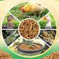 Mealworms Chicken Treats 3 Lbs with Handle Packing, High-Protein Promote Egg Production, Natural Chicken Feed for Laying Hens Wild Birds Ducks