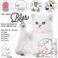 The Blissful Cat Paw Butter, Moisturizer for Dry Paw Pads, Softens and Protects Rough Feet, Versatile, Lick-Safe Balm, 0.15 oz.