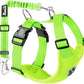 Lukovee Dog Seat Belt for Car, Adjustable Dog Car Harness for Large Medium Small Dogs, Soft Padded & Breathable Mesh Dog Seatbelt with Car Strap and Carabiner(Lime Green Double Clip,Large)