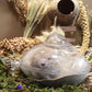 Hamster Bath Sand, 15.4lb Dust Free Desert Sand or Potty Litter Sand for Hamster Chinchillas Gerbil Syrian Mice Small Animals(Beige)