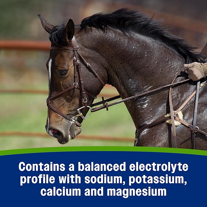 Farnam Apple Elite Electrolyte Paste Supplement for Horses, Replaces Vital Minerals, Encourages Hydration, No Added Sugar, 60 cc syringe