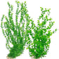 Hamiledyi 23" Tall Aquarium Plastic Plants - 2 Pack Soft Fish Tank Decor, Artificial Green Grass Cluster for Aquariums, Safe Bendable Underwater Plants（Green Style B）