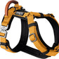 MADE TO ROAM Premium Explorer Harness - Y-Shaped Dog Harness with Adjustable Durable Nylon, Soft Padding, Metal Buckles and Leather Handle for Small, Medium, Large Dogs (Michigan Autumn, Size 5)