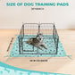 Fostanfly Washable Pee Pads for Dogs, 2 Pack Large 36"x48" Ultra-Absorbent and Leak-Proof Non-Slip Reusable Potty Training Pads for Dogs, Cats, Puppy, Potty of Add 8 Lanyards, Green