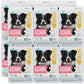 Paw Inspired Disposable Dog Diapers | Female Dog Diapers Ultra Protection | Diapers for Dogs in Heat, Excitable Urination, or Incontinence (12&144 Count) (Large (144 Count))