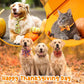 Talltalk 360 Pcs Halloween Dog Bow Ties Collars Set Adjustable Thanksgiving Christmas Fall Xmas Dogs Neckties Grooming Accessories for Small Medium Large Pet Cat Decoration(Thanksgiving)