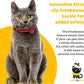 BirdsBeSafe® Break Away Cat Collar with Bell, Reflective Thread for Night Visibility, Comfortable Elastic Stretch Cat Collar to Protect Cat from Getting Stuck in The Garden.