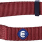 Blueberry Pet Essentials Medium Dog Collar in Fired Brick | Adjustable & Eco-Friendly Durable Nylon Strap | Classic Collar for Medium Dogs, Boy & Girl Pets