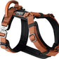 MADE TO ROAM Premium Explorer Harness - Y-Shaped Dog Harness with Adjustable Durable Nylon, Soft Padding, Metal Buckles and Leather Handle for Small, Medium, Large Dogs (Nevada Evening, Size 6)