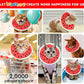 Cat Cone Collar Soft, Waterproof Cat Recovery Collar for Wound Healing Cute Cat Donut Adjustable Cat Cones to Stop Licking Comfortable Neck Elizabethan Collars for Cats Kittens After Surgery