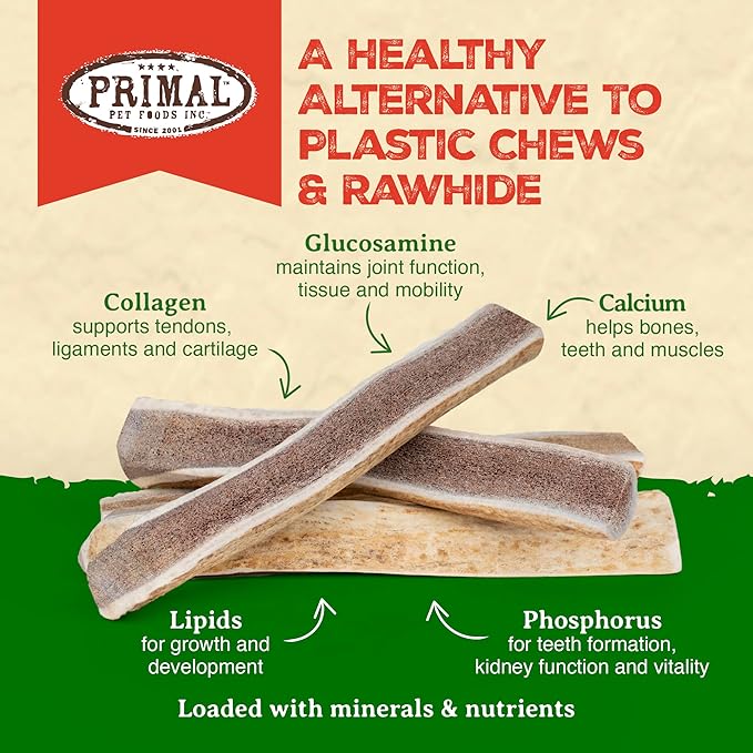 Primal Antlers for Dogs, Grade A Split Elk Antlers for Small Canines up to 15 lb, Natural Chews for Aggressive Chewers, Naturally Shed, Long Lasting Dog Bones, 1 ct