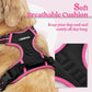rabbitgoo Dog Harness No Pull with 2 Leash Clips, Adjustable Soft Padded, Reflective Oxford No Choke Pet Vest with Easy Control Handle for Large Dogs, Black & Hot Pink, XL