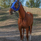 Horse Fly Mask with Ears, UV Protection Mask for Horses, Elasticity Mask with Big Mesh Eye Covers, Snug Fitting Comfortable Breathable Lightweight Royal Blue Cob