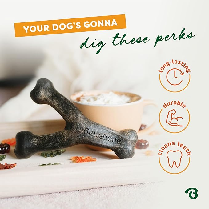Benebone Pumpkin Spice Wishbone – Limited Edition Flavor, Durable Dog Chew Toy for Aggressive Chewers, Made in USA, Small