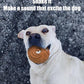 Giggle Ball for Dogs Owl Dog Toys for Aggressive Chewers Medium Large Dogs Fun Gift for Dog Natural Rubber Herding Ball for Dogs Cute Owl Hoot Brown New
