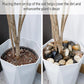 2LB 1"-2" Decorative River Rocks for Plants, Polished Pebbles for Garden Landscaping, Planters, Aquariums, Vase Fillers – Indoor & Outdoor Decor
