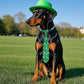 PET SHOW 10 Pack St. Patrick's Day Big Dog Ties Neckties for Large Breed Dogs XL Adjustable Holiday Grooming Accessories Neck Ties Bowties Girl Boy Pets Festival Costumes Wedding Party Gift Favor
