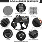 WINSEE Service Dog in Training Mesh Harness with 10 Pet Patches for Medium Dogs, Soft Air Mesh Breathable Tactical Dog Molle Vest, Reflective Military Pet Vest for Walking Hiking
