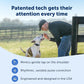 PetSafe Core Remote Trainer Add-A-Dog Collar – Extra Collar for Dog Training Collar with Remote – Waterproof – Tone, Vibration and 15 Levels of Static – Built-in LED Light