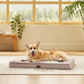 Bedsure Large Dog Bed for Crate - Orthopedic Flat Pet Beds with Removable Washable Cover, Egg Crate Foam Crate Mat, Suitable for Pet Up to 50 lbs