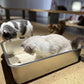IKITCHEN Stainless Steel Cat Litter Box, Large Metal Litter Box for Cats, Never Absorbs Odors,Stain Free, Rustproof, Non Stick Smooth Surface 23.5" L x 15.5" W x 6" H