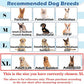 Hard & Heavy Plastic Dog Cone Collar Alternative for Extra Large Dogs(Adult Lab Golden GSD), Pet Neck Head Protective Cone Anti-Lick, Adjustable Elizabethan Recovery Collar Cone of Shame for Healing