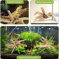Tfwadmx Natural Driftwood for Aquarium, 11-13 inch Reptile Branches Terrarium Wood Aquarium Trunk Driftwood Tree Fish Tank Log Decoration Pack of 2