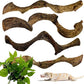 BNOSDM 4Pcs Reptile Climbing Branches Decor,Snake Climbing Branch,Gecko Climb Wood,Lizard Forest Branch,Tank Habitat Tree Trunk Decorations for Bearded Dragons,Chameleons,Spider,Frogs (S)