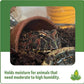 Josh's Frogs Coco Cradle Disks (6 x 1 Quart Disks)
