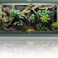 50 Gallon Bearded Dragon Tank, Reptile Enclosure for Easy Maintenance, Front Opening Reptile Tank with Top Screen Ventilation & Glass Sliding Door 36''x18''x18''
