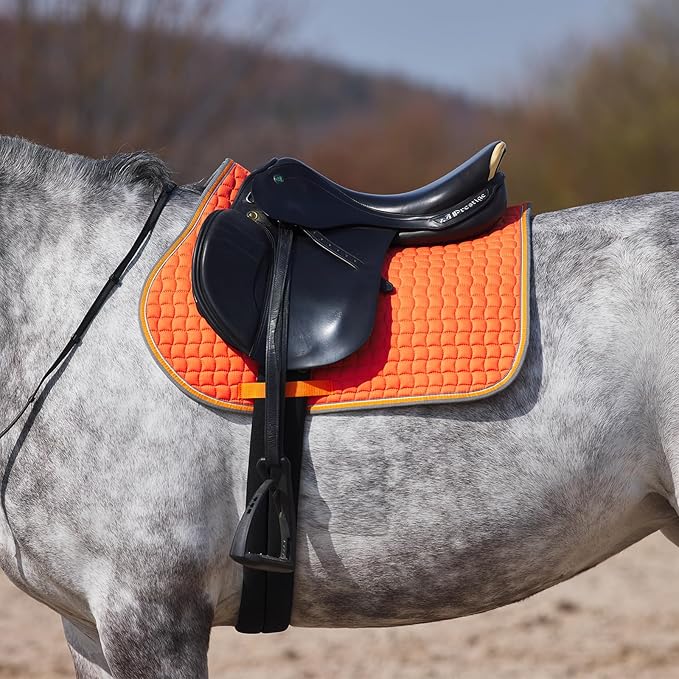 HORZE Adepto Padded All Purpose Quilted Equestrian Saddle Pad for Horses with Two-Tone Trim