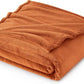 Bedsure Burnt Orange Fleece Throw Blanket Mango - 300GSM Soft Lightweight Plush Cozy Blankets for Bed, Sofa, Couch, Travel, Camping