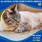 Smokey's Stash Catnip Stalkless Dried Ground Premium Bulk 12 Ounce Bag Strong Cat nip for Cats