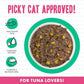 Weruva BFF Minced Natural Wet Cat Food, Tuna and Pumpkin Valentine in Gravy, 10oz Can, Pack of 12