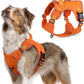 rabbitgoo Tactical Dog Harness Medium Sized Dog, No Pull Military Service Vest with Handle & Molle, Easy Control for Training Walking, Adjustable Reflective Straps, Orange, M