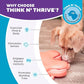 Outward Hound Nina Ottosson Puppy Tornado Dog Puzzle Interactive Treat Puzzle Dog Enrichment Dog Toy for Puppies, Level 2 Intermediate, Pink