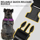BINGPET Dog Vest Harness -Light Weight Breathable Sports Mesh - Pet Adjustable Harness Puppy Padded Harnesses Dog Vest Harness for Small Dogs
