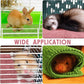 Amylove 4 Pcs Guinea Pig Cage Liner Guinea Pig Bedding Washable Fleece Pee Pads Reusable Small Animals Training Mat Small Animal Sleeping Bed for Bunny Hamster (Green Pink,16 x 24 Inch)