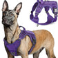 rabbitgoo Tactical Dog Harness for Large Dogs, No Pull Military Service Vest with Handle & Molle, Easy Control for Training Walking, Adjustable Reflective Straps, Purple, L