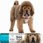 Tibetan Mastiff Boo Boo Butter, 0.15-Ounce