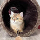 ZENFUN 51"x 12" Collasiple Cat Play Tunnel, Cats Tubes and Tunnels, Cat Foldable Hide and Seek Tunnel Toy, Brown Suede Pet Tube Toy for Rabbits, Ferrets, Puppy, Diameter 12 Inch