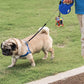 Petmolico Dog Poop Bag Holder Leash Attachment, Pet Waste Bag Dispenser Zippered Pouch, Fits Any Leash, Includes Free Roll of Dog Bags, Poop Bag Dispenser - 2 Pack, Colorful Flowers