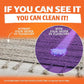 ANGRY ORANGE Pet Odor Eliminator Kit for Dog Urine - Citrus - 24 oz + UV Flashlight